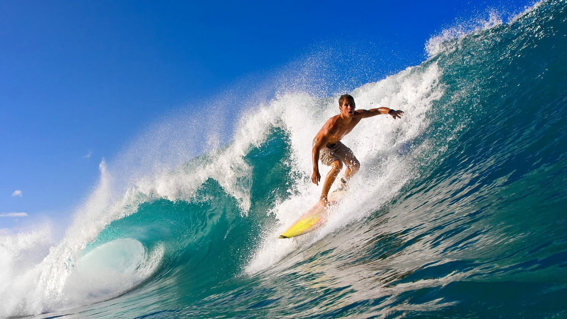 _杜鹃花海中的瑜伽：与自然相融合_，杜鹃花 户外
